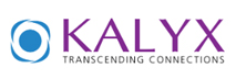 Kalyx Networks Private Limited: Delivering End-To-End Network Solutions