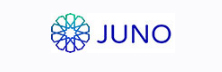 Juno Software Systems: Bridging Gaps Within Management Processes Of Educational Institutions