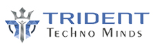 Trident Techno Minds: Assuring Improved Business Performance