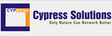 Cypress Solutions: Liberating Enterprises From The Complexities Of Designing Passive It Infrastructu