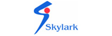 Skylark Information- Addressing System Integration Requirements Comprehensively
