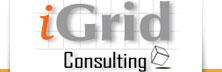 Igrid Consulting Solutions - Unleashing Microsoft Technologies To The Full Potential