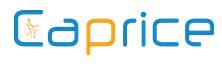 Caprice Technologies-Spearheading Cloud Based Transformation To Hr, Erp, Payroll And Healthcare Appl