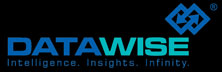 Datawise: Business Intelligence And Analytics With Human Insight
