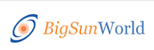Bigsun Technologies: Leveraging Web Applications For Erp