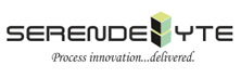 Serendebyte: Bpm Services Through Execution, Evolution And Enablement