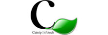 Catnip Infotech: Empowering Businesses With Niche Technology-Agnostic Solutions Across Domains