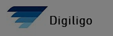 Digiligo: Building A Digitally Advanced Business Ecosystem