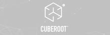 Cuberoot: Intelligent Data Management For Strategic Digital Advertising