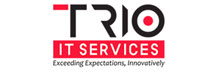 Trio It Services : Securing It Assets Through A Holistic Approach
