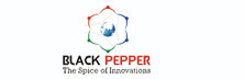 Black Pepper Technologies-Spicing Up Innovations Through Best In Class Soc Design Services