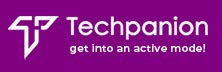 Techpanion Solutions: Meeting And Exceeding Procurement Objectives With Higher Roi