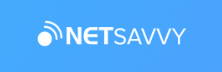 Netsavvy: Enabling Enterprise Architectural Efficiency