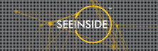 Seeinside Inc: Optimizing Novel Gis Solutions For Better Decision Making