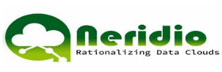 Neridio Systems: It Resilience Through Integrated Cyber Security & Risk Mitigation Solutions