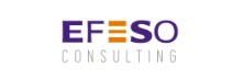 Efeso Consulting: A Truly Global Pure Player In Industrial Operational Excellence