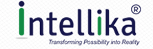 Intellika Technologies: Delivering Customized Crm Solution Through Consultative Approach