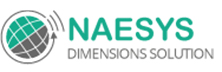 Naesys Dimensions Solution: Implementing Erp Solutions To Ensure Optimum Roi