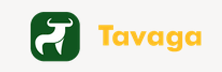 Tavaga: Bringing The Advantages Of Financial Robo-Advisory In The Indian Investment Culture