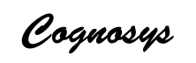 Cognosys Technologies - Delivering Vertical Agnostic Secured Cloud Solutions