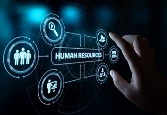 All You Need To Know About Human Resource Management