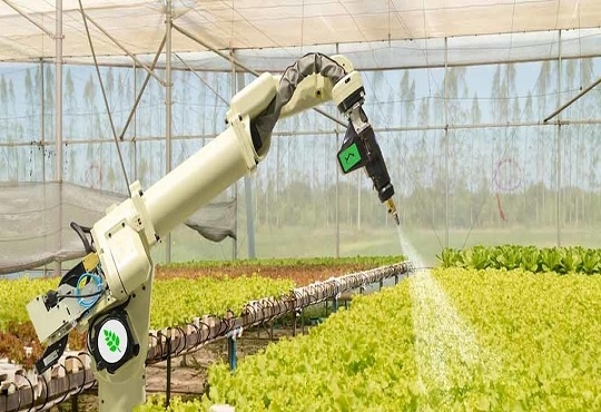 Leveraging AI-based solutions to increase crop yield
