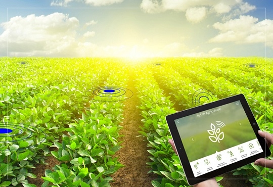 Harnessing the Power of IoT in Agriculture: Enhancing Monitoring and Management