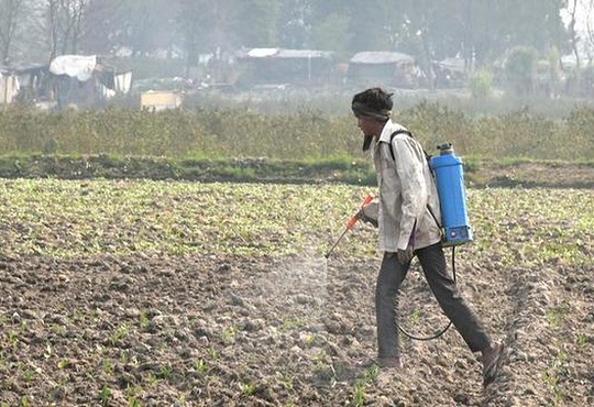 Google and nurture.farm collaborate to provide tech-led agri solutions