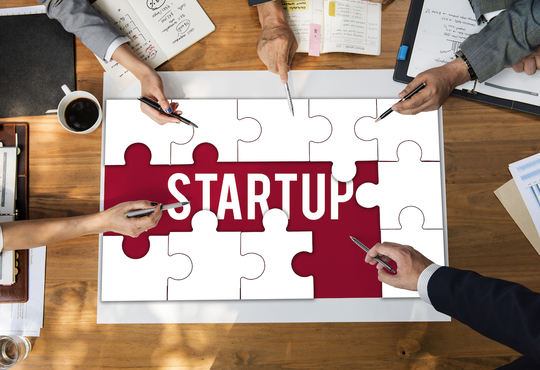 The Internet and Mobile Association of India (IAMAI) has introduced an initiative for mentoring Indian startups bringing a bunch of local entrepreneurs as mentors.