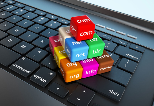 domain names