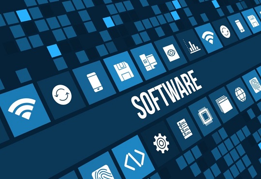 What makes India a prime Software Services Exporter