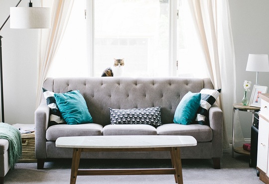 5 Reasons why you must pick the Best Sofa Designs in 2019