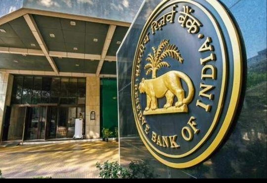 RBI establishes working group to regulate digital lending apps