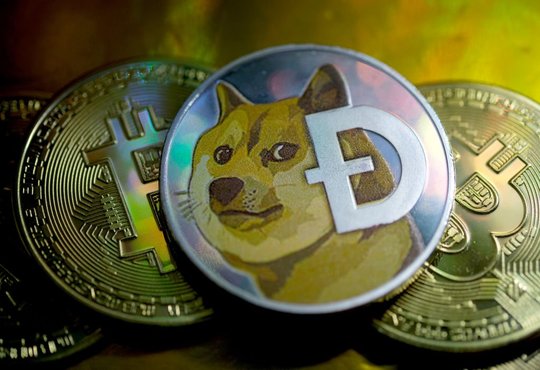 Dogecoin mania influences Indian crypto exchanges